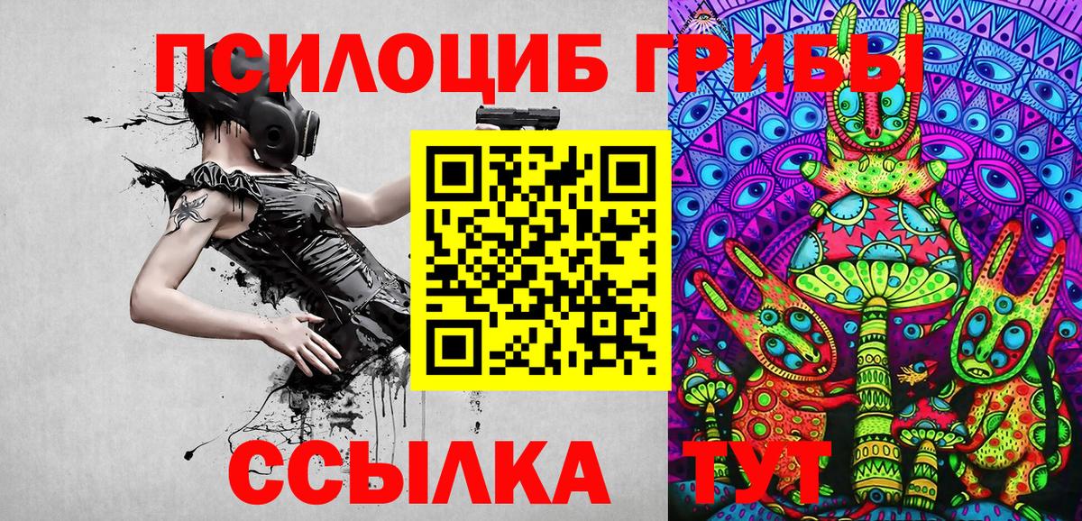 Галлюциногенные грибы Cubensis Павлово