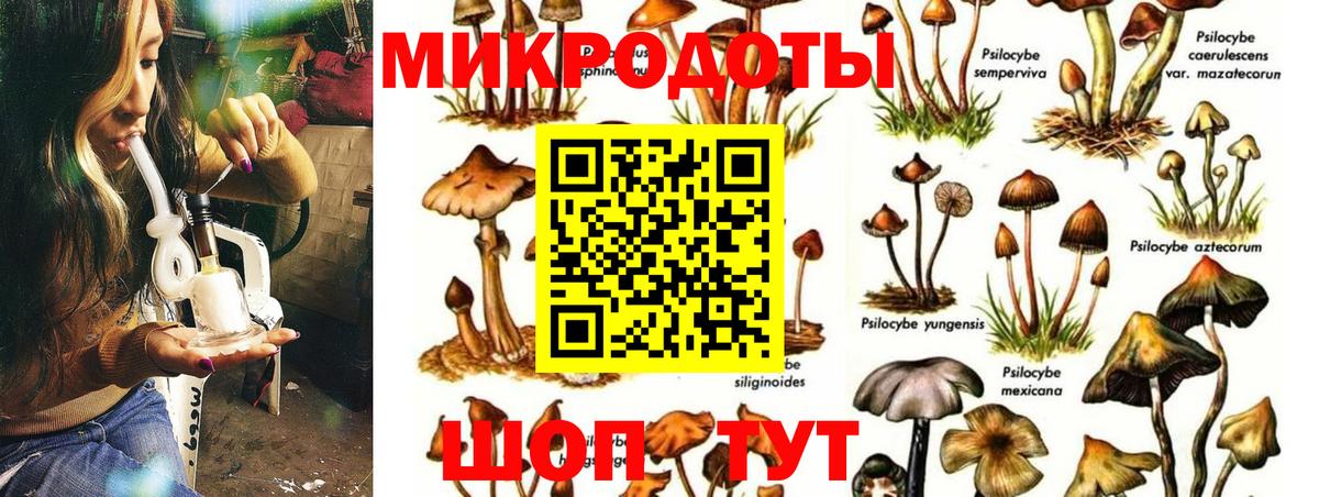 Павлово  наркотики  Вход с VPN  Галлюциногенные грибы Cubensis  Псилоцибиновые грибы Cubensis 